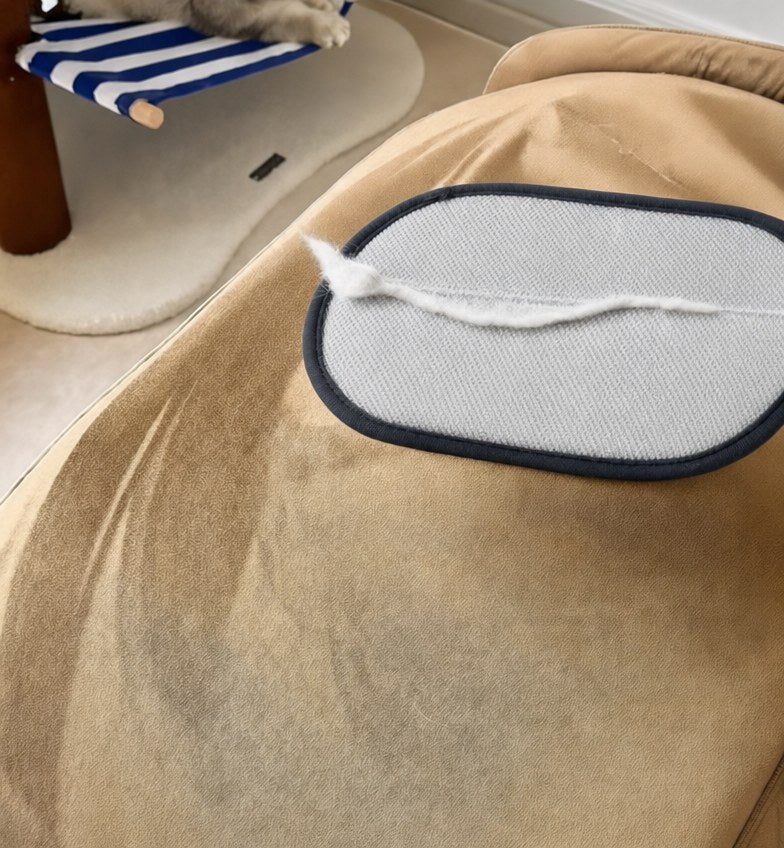 Removing dog hair from a sofa cushion with the Rearpaw glove