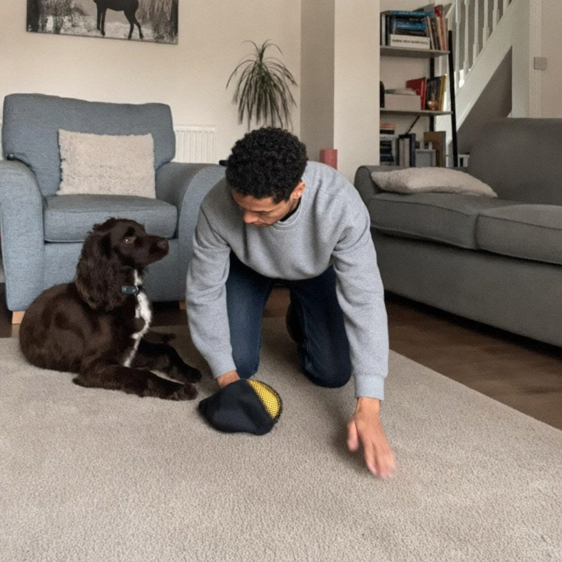 Man with his dog cleaning a rug with the Rearpaw glove